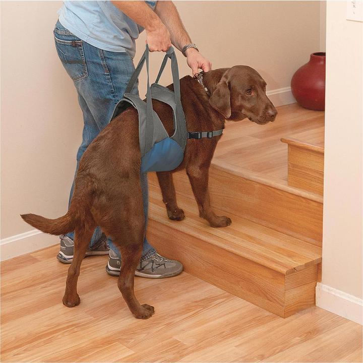 Image du produit Kurgo Up and About Harnais de levage (Chien, Réflecteurs)