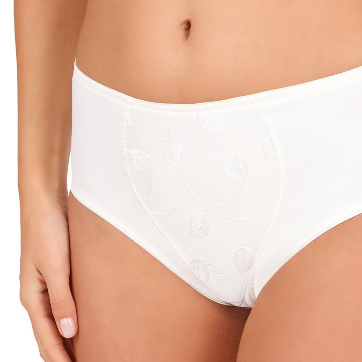 Actual product image Felina Emotions Waist Brief (40, L, Single pack)