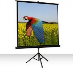 Actual product image Celexon Canvas (72.44", 1:1)