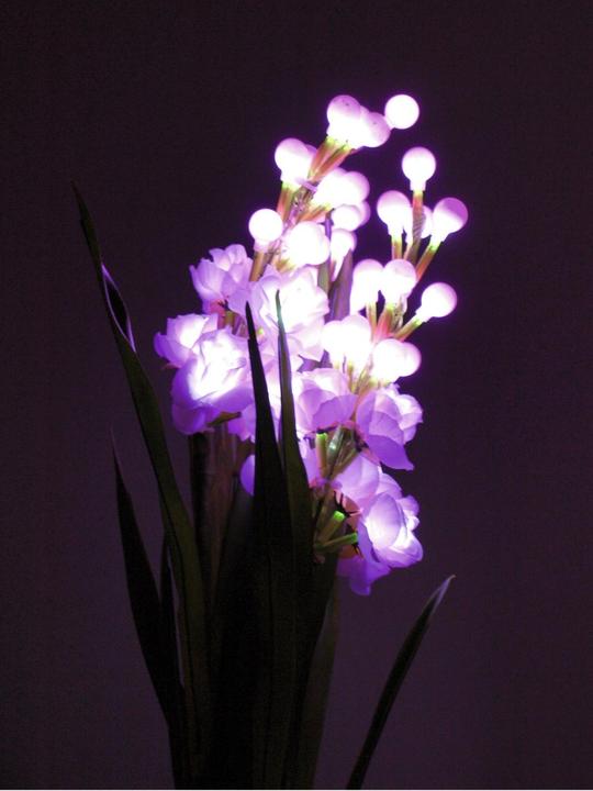 Produktbild Europalms Aronstab 3er Set mit LEDs, pink, 85cm (85 cm)