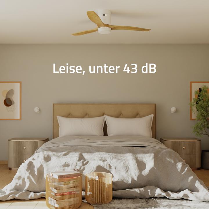 Immagine prodotto Hombli Deckenventilator mit Licht (43 dB)