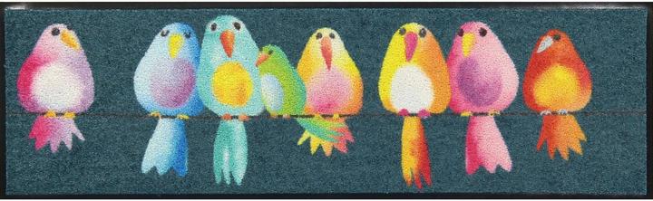 Salonloewe Rainbow Birds