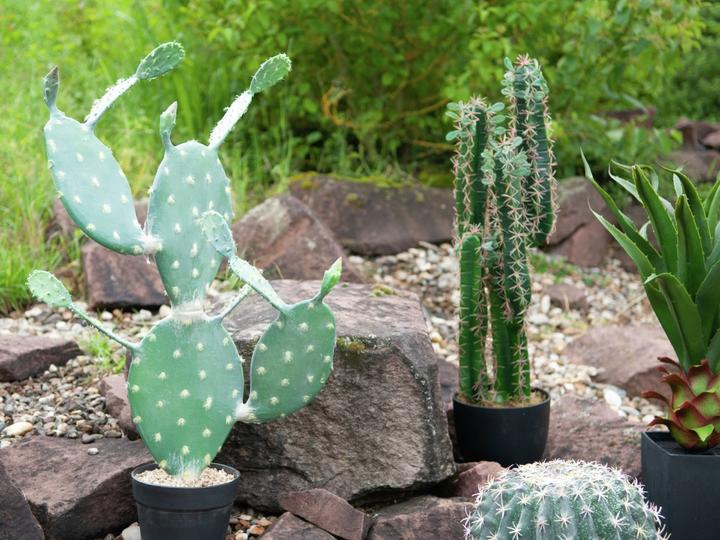 Actual product image Europalms Leaf Cactus, Artificial Plant, 76cm (76 cm)