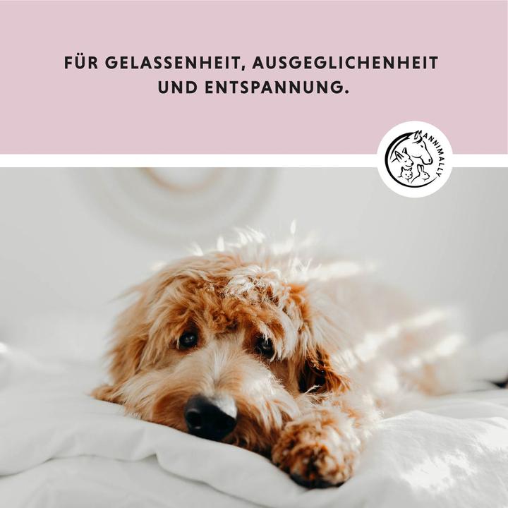 Produktbild Annimally Relax 250 XL² Tabletten - Hund (Senior, Adult, 250 Stk., 229 g)