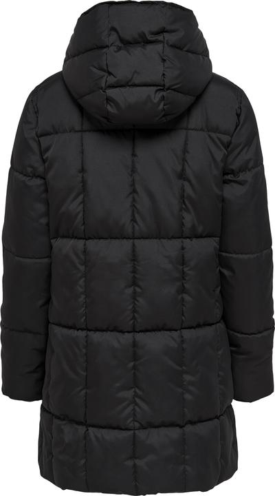 Actual product image JdY Jdydaisy Life Long Padded Jkt. Otw Noos (XS)