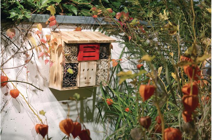 Image du produit Windhager Le tilleul (Chrysanthèmes, Bourdons, Coccinelles, Chansons accrocheuses, Abeilles sauvages)
