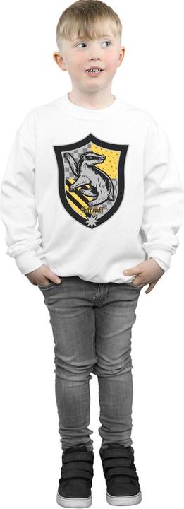 Image du produit - Sweat HUFFLEPUFF CREST FLAT - Garçon (116)