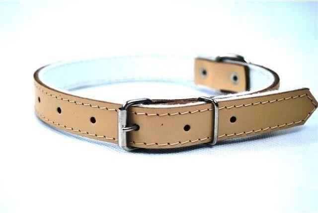 Produktbild Chaba 600453 Hunde- /Katzenhalsband Leder Hund Kettenhalsband (Hund)