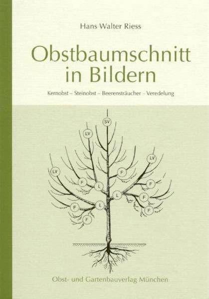 Produktbild Obstbaumschnitt in Bildern (Deutsch, Hans Walter Riess, 2003)