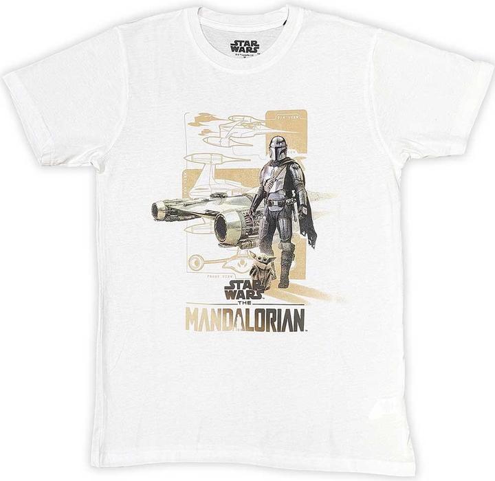 Star Wars The Mandalorian Din & Grogu