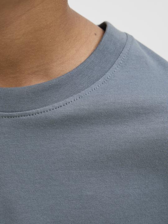 Produktbild Jack & Jones Jorvesterbro Tee Ss Crew Neck Noos Jnr (164)