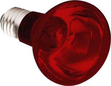 Image du produit Komodo Infrarood Warmtelamp Es