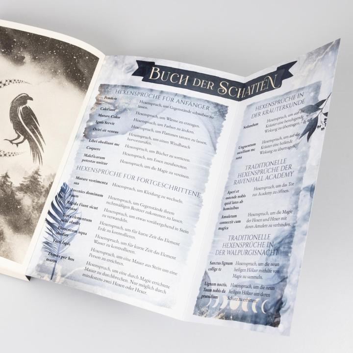 Actual product image Ravenhall Academy 1: Hidden Magic (Julia Kuhn, German)