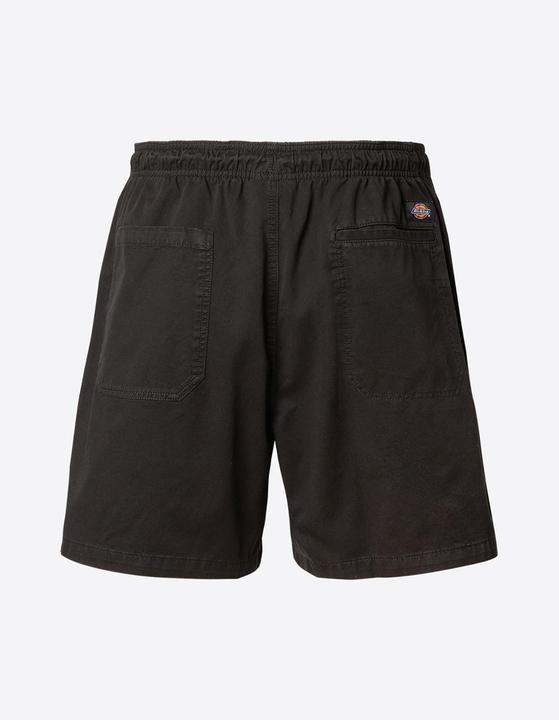 Actual product image Dickies Pelican Rapids fabric shorts - 91859 (S)