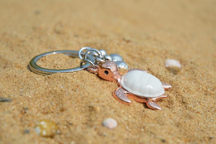 Key ring