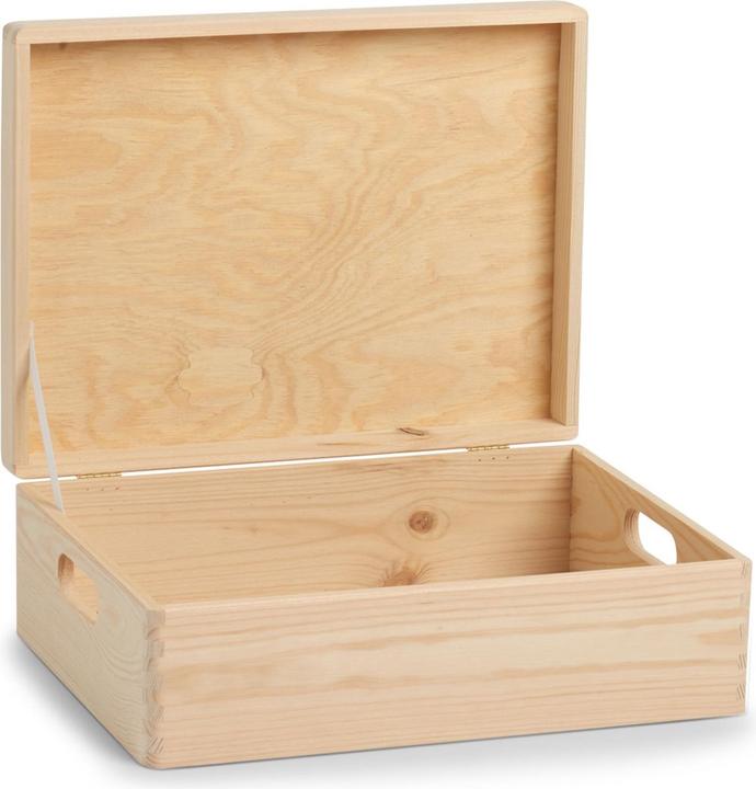Immagine prodotto Zeller Present Scatola multiuso (40 x 30 x 14 cm, 17 l)