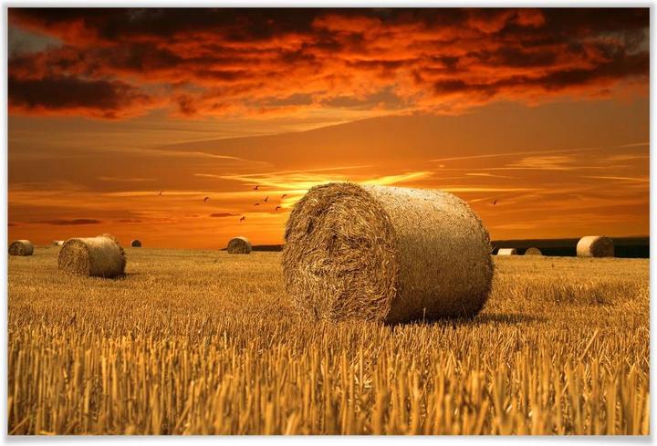 Actual product image Trenddeko straw bale (60 x 40 cm)