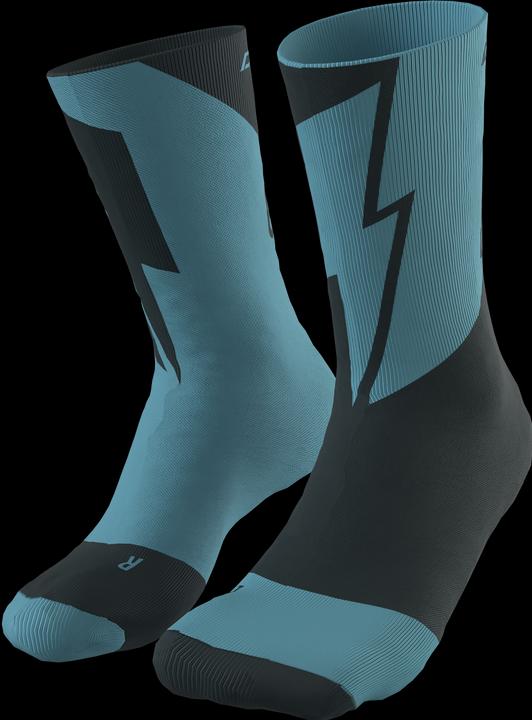 Actual product image Dynafit No Pain No Gain Socks (39 - 42)