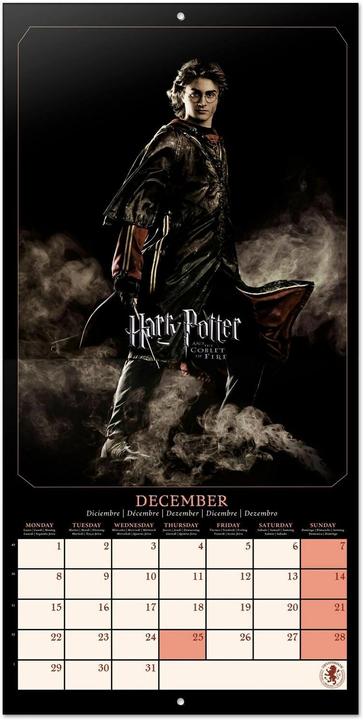 Actual product image Harry Potter films calendar 30 x 30 / 30 x 60 cm (30 x 30 cm)