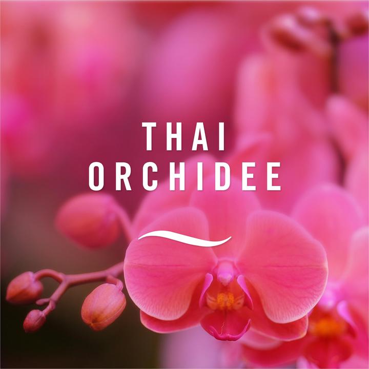 Produktbild Febreze Tropische Orchidee