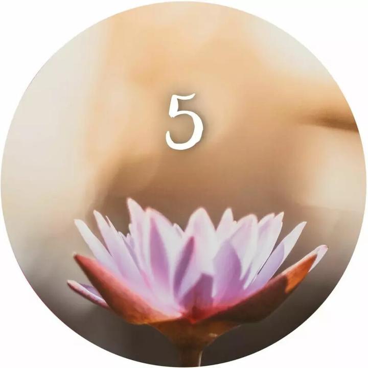 Image du produit 24 moments de pleine conscience