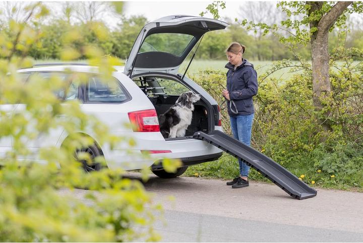 Produktbild Trixie 3939 Klapp-Rampe Petwalk (Hund, Katze)