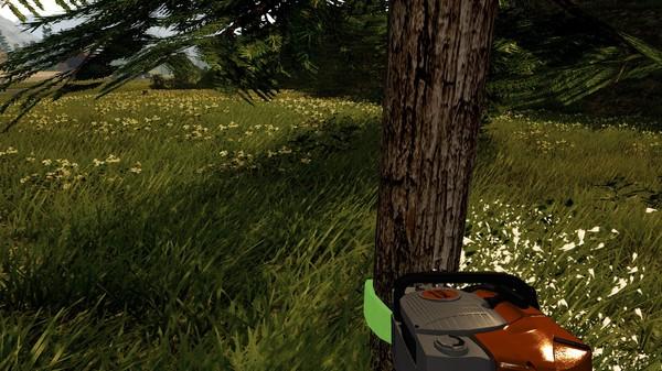 Produktbild Forstwirtschaft 2017 - Die Simulation (PC)