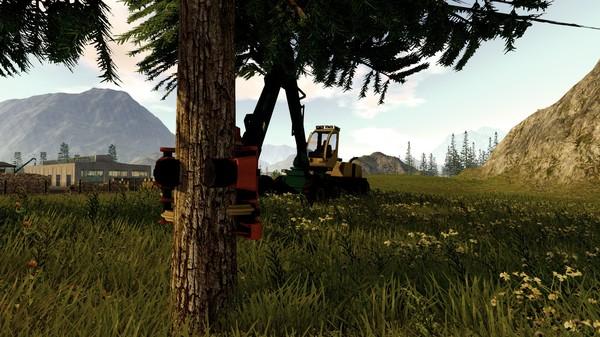 Produktbild Forstwirtschaft 2017 - Die Simulation (PC)