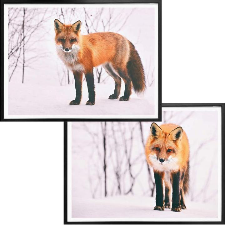 Actual product image Trenddeko Fox in the snow - 2 parts (80 x 60 cm)