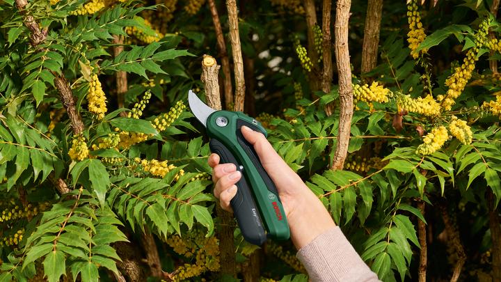Immagine prodotto Bosch Home & Garden EasyPrune