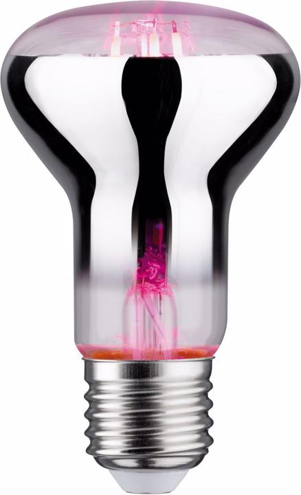 Image du produit Paulmann Lampe pour plantes Grow Green R63 (LED, 6.50 V)