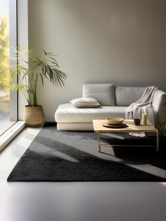 Image du produit Hanse Home Jaipur (280 x 190 cm)