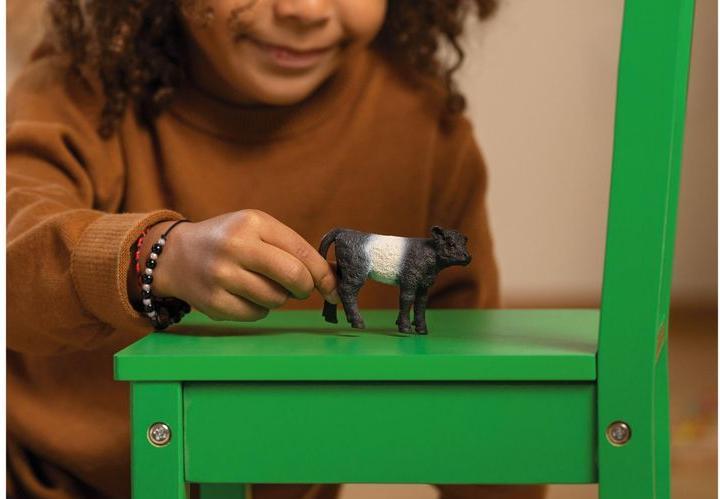 Image du produit Schleich Veau Galloway