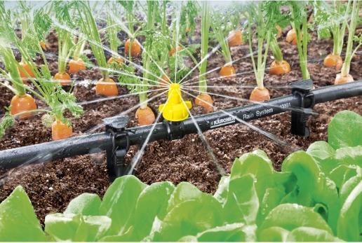 Produktbild Kärcher Sprühmanschette 26452360 (Tropfbewässerung Tropfer)