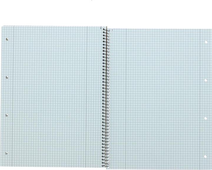 Immagine prodotto Landré Quaderno universitario A4+ per mancini (A4+, Quadretti, Nessuna rilegatura)