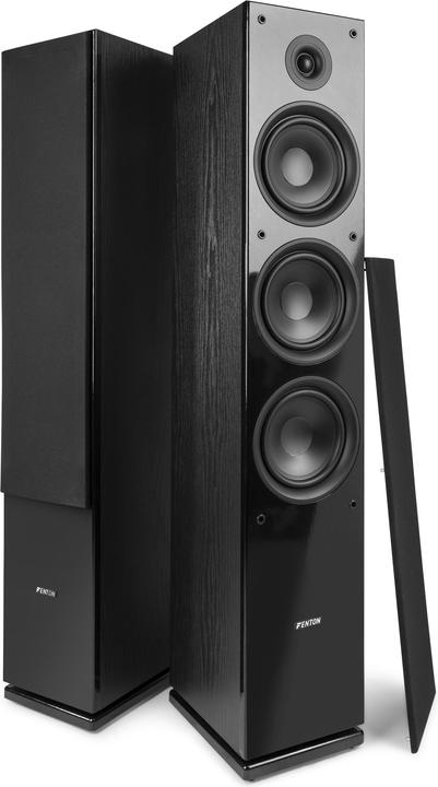 Actual product image Fenton SHF80B (1 pair, 250 W)