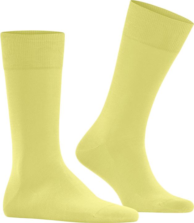 Produktbild Falke Cool 24/7 Herren (41 - 42)