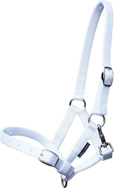 Image du produit Harry's Horse Licol pour poulain