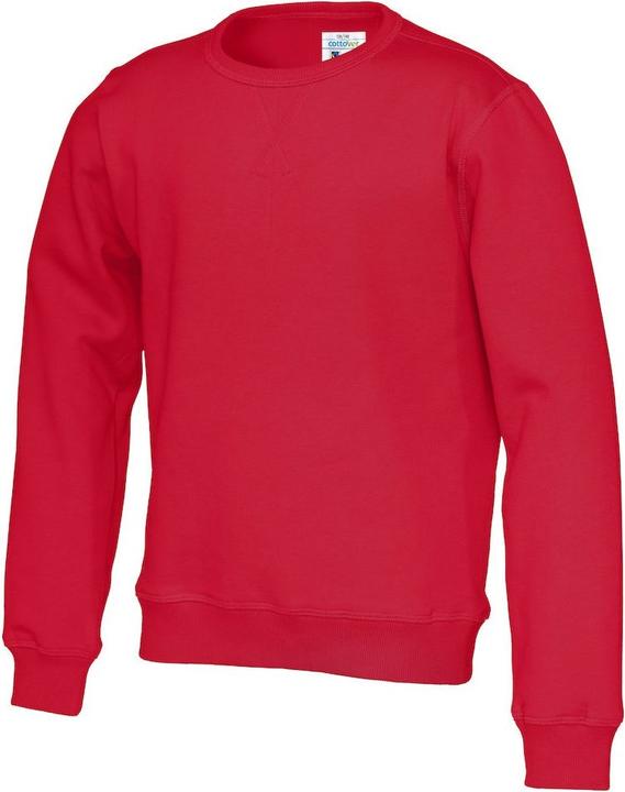 Actual product image Cottover Sweatshirt (164)