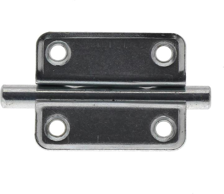 Actual product image Burg Wächter Grendel bolt GR 50 SB (Grendel bolt, 10 pcs.)
