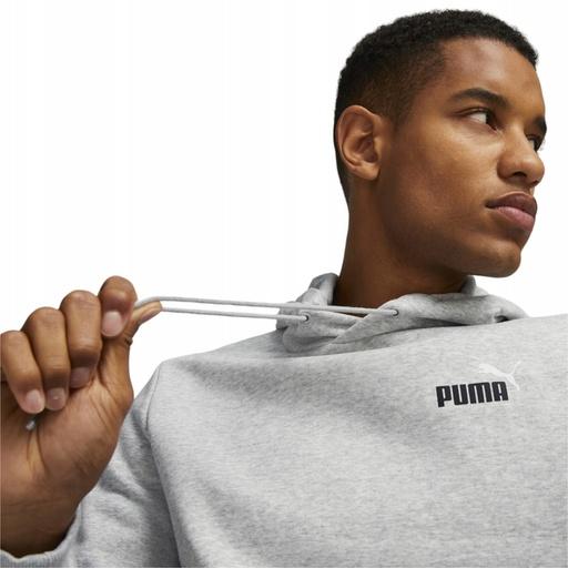 Actual product image Puma ESS+ 2 Col Small Logo Hoodie FL (L)