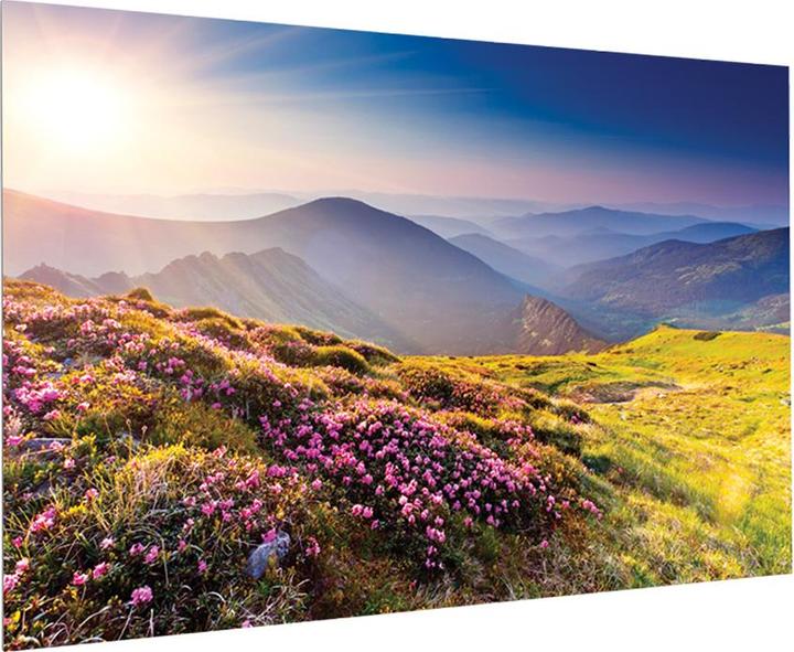 Actual product image Projecta FullVision projection screen (93 inch) (93", 16:10)