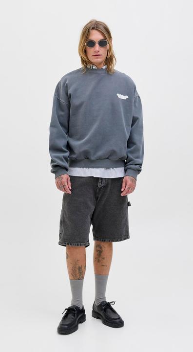 Actual product image Jack & Jones Baggy fit Baggy Fit Shorts Baggy Fit Shorts (L)