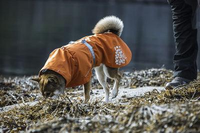 Actual product image Hurtta Monsoon Coat bilberry (65, Dog coat)