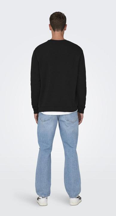 Produktbild Only & Sons Onsceres Life Crew Neck Noos (L)