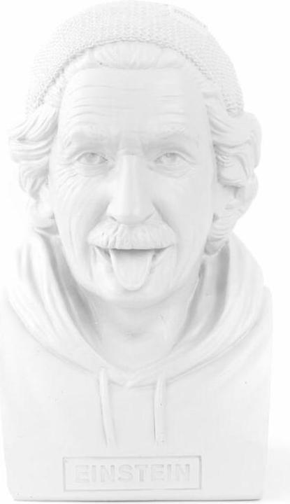 Immagine prodotto Donkey Products Banca di monete storiche Hipster Einstein