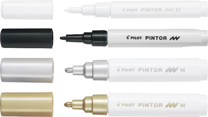 Image du produit Pilot PINTOR - Marqueur (Rose, 8 mm, 1 x)