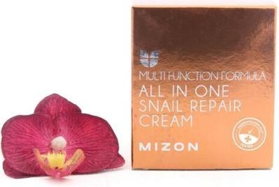Produktbild Mizon all in one snail repair cream 75 g (75 ml, 24h Creme)