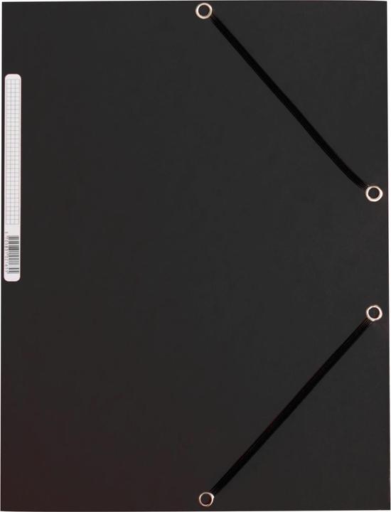 Q-Connect Carton collecteur de fichiers (A4, 1 x)