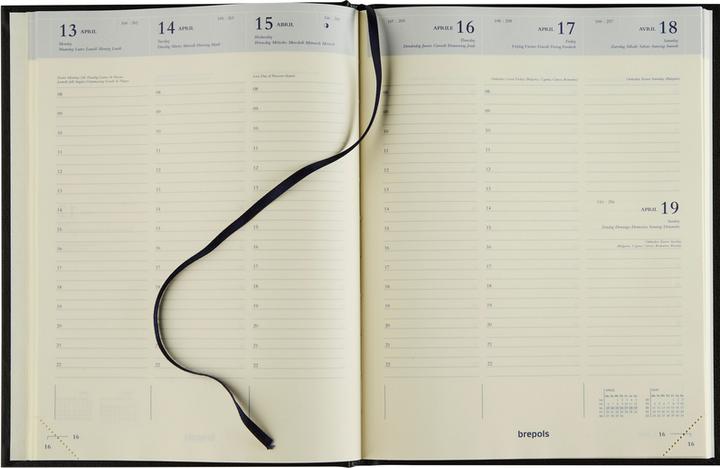 Actual product image Brepols Agenda Timing Sunrise 2025 26.3.1472 1W/2S ass. ML 17x22cm (17 x 22 cm, Dutch)